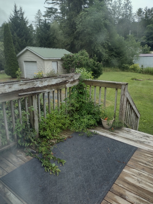 Primary Photo - 5418 Linville Falls Hwy