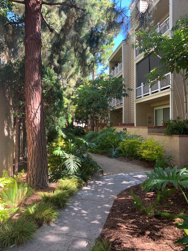 Green Belt - 8500 Falmouth Ave