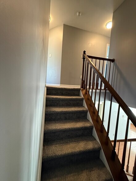 Building Photo - 12 Paynter St