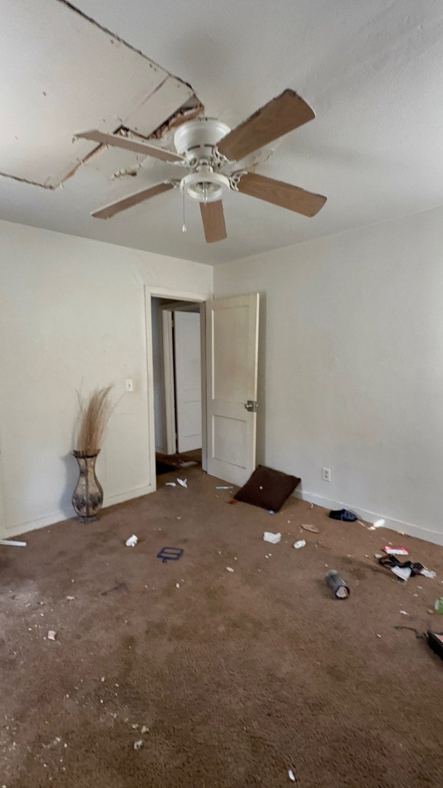Building Photo - 3251 Meadow Ln