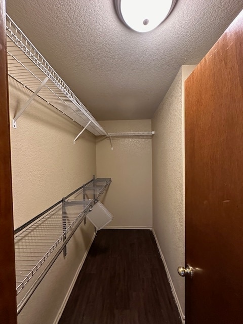 Building Photo - 10305 Plymouth Ct