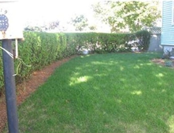 Building Photo - 219 Forest St