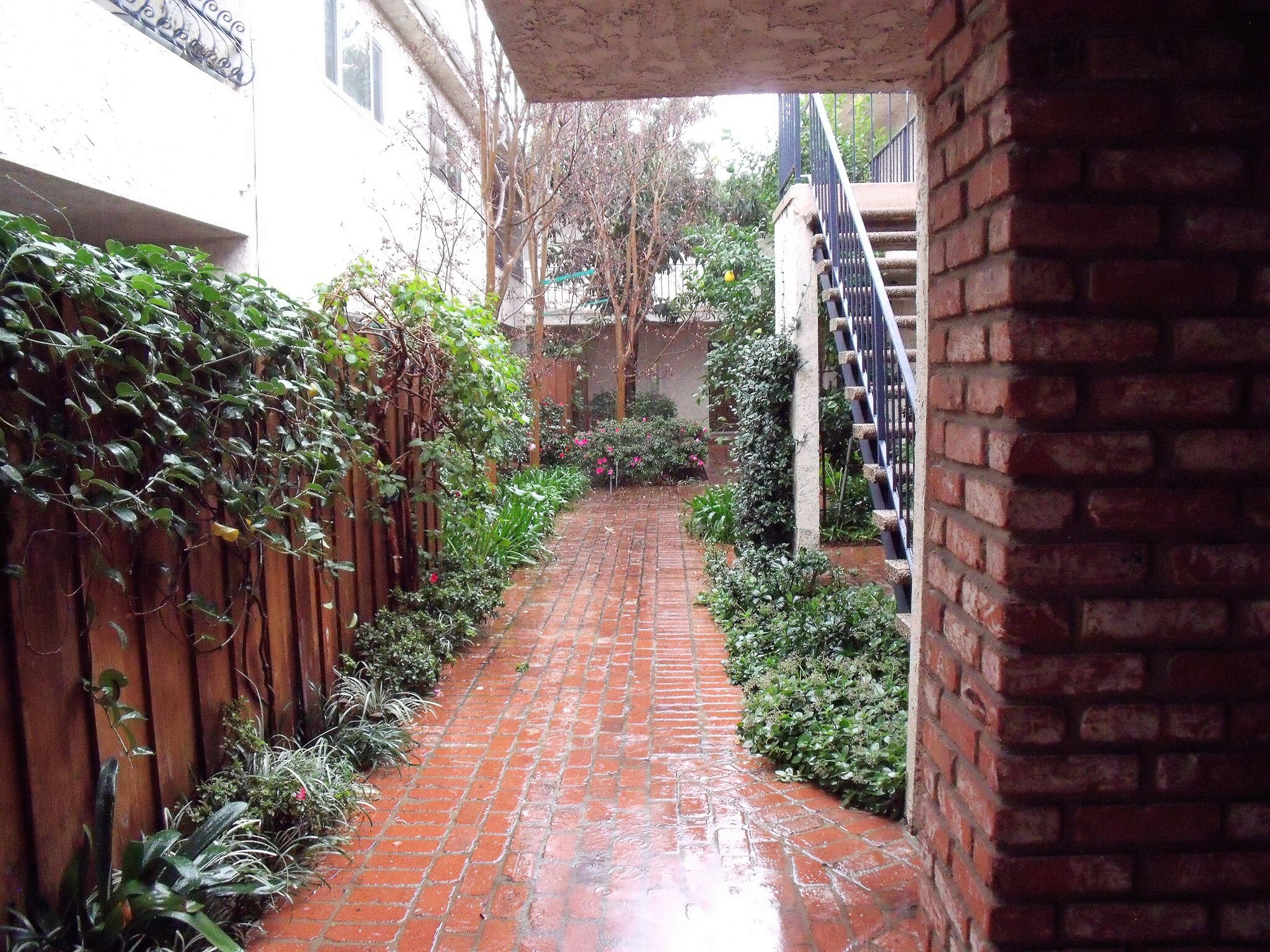 Common area - 11550 Nebraska Ave
