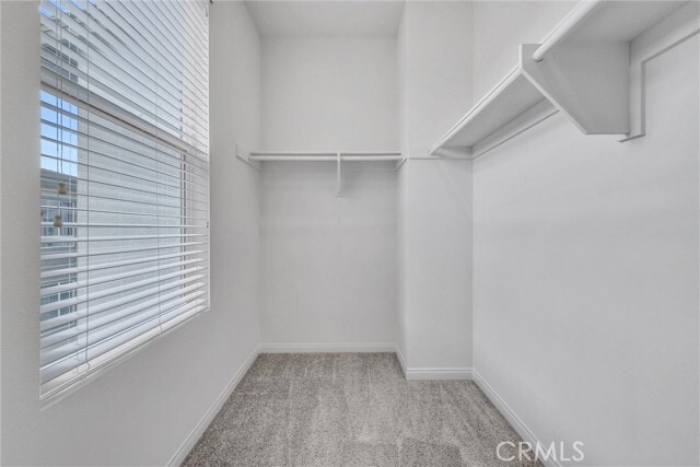 Building Photo - 1138 Tangerine Dr