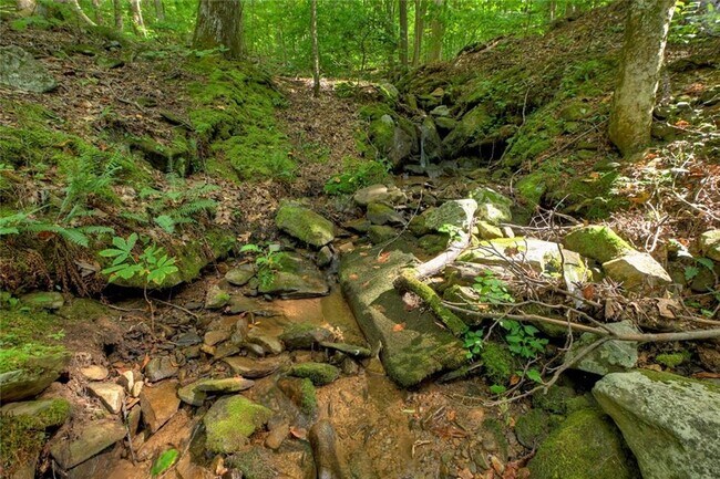 Building Photo - 545 Chestnut Ridge Cir