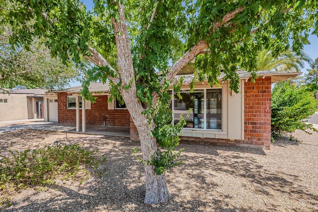 Building Photo - Three bedrooms and POOL in South Scottsdale!