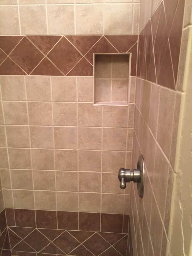 Master shower - 3136 Pin Oak Ct