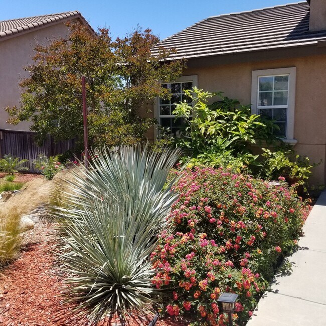 Building Photo - 805 Alpine Ct