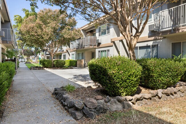 Building Photo - 234 Escuela Ave