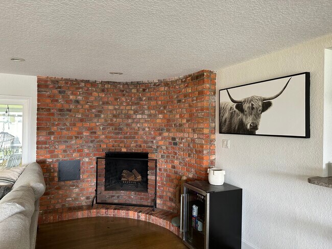 Wood burning fireplace - 511 Lake Shore Dr