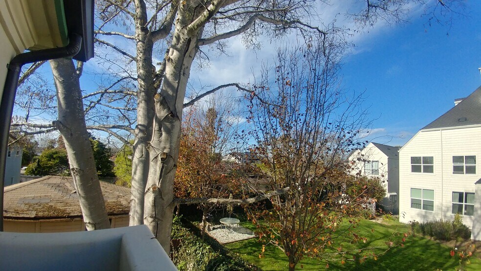 View from Balcony - 126 Cowell St