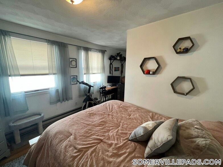 Building Photo - 217 Holland St