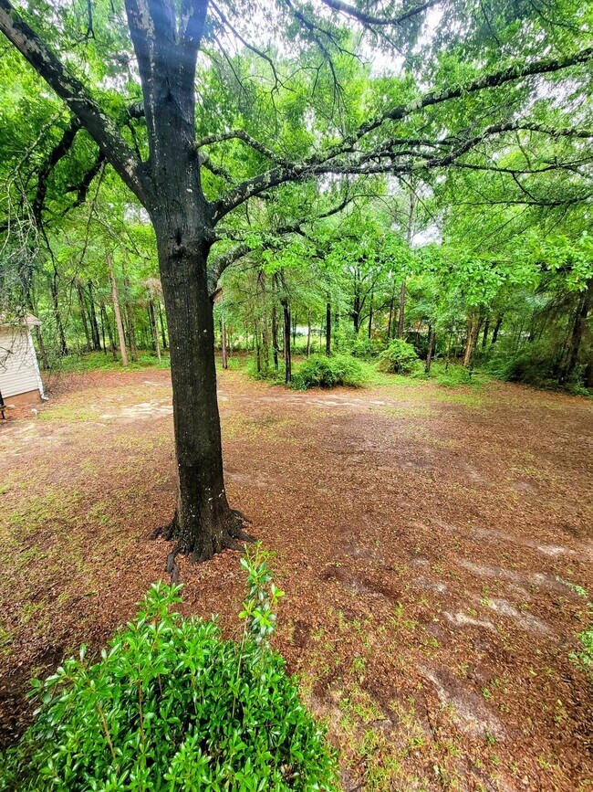 Building Photo - 3088 Log Cabin Ln