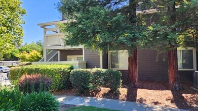 Building Photo - Park Wood Apartments