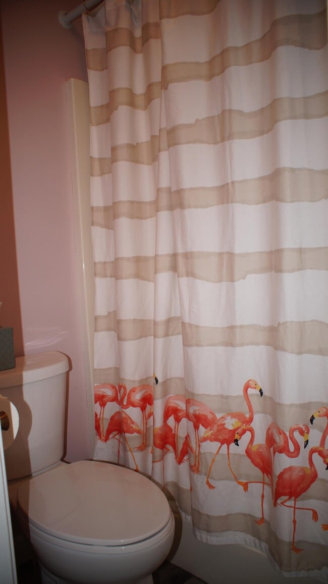 Building Photo - 3661 Essex Pond Quay