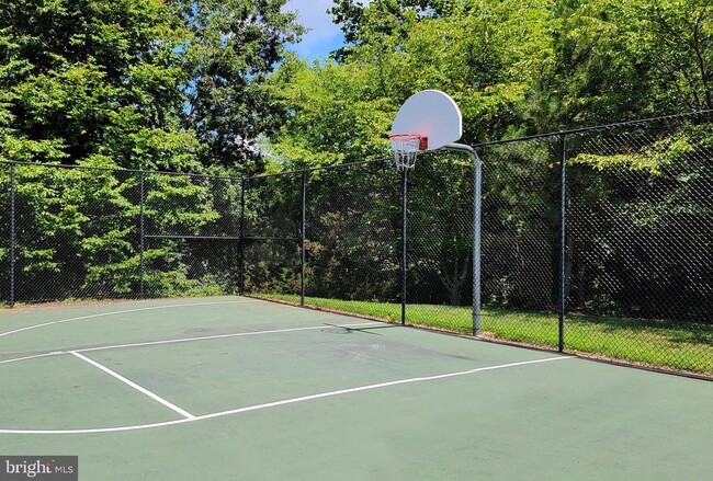 Basketball Court - 9651 Franklin Woods Pl