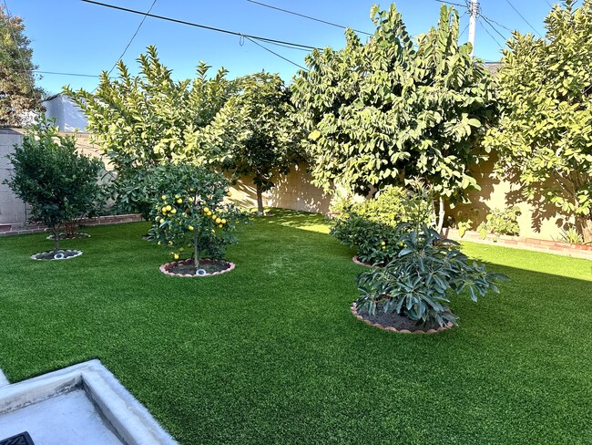 Garden outside the windows of guest house - 3163 Helms Ave