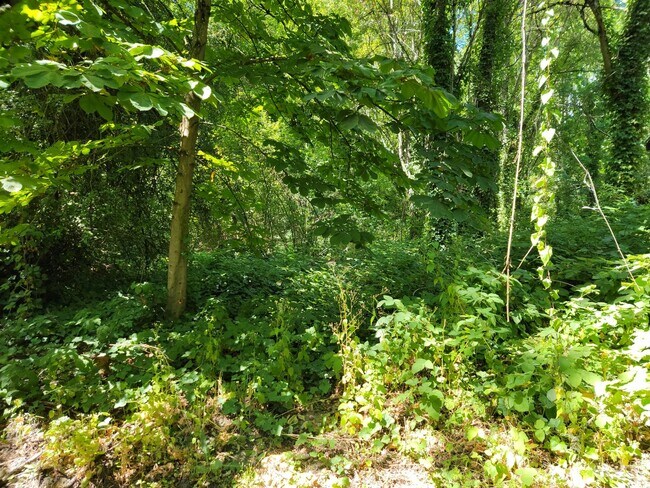 Building Photo - 044SCobert5503