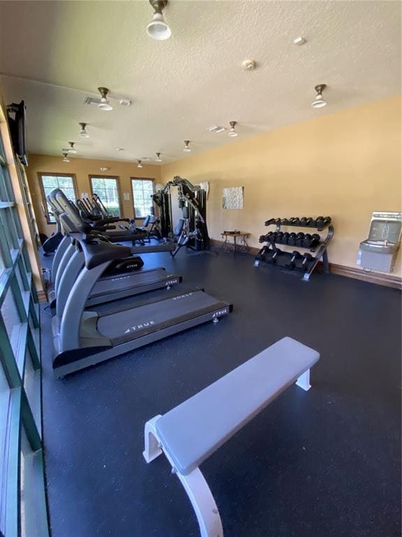 Building Photo - 33614 Campeon Ct