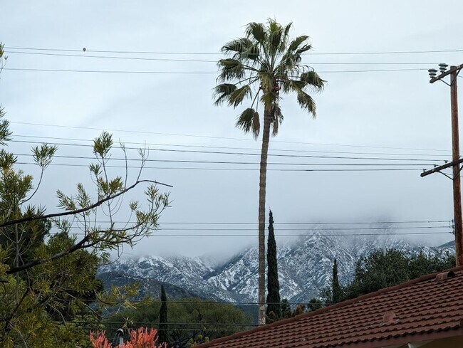 Building Photo - Spacious three bedroom one and half bath house in Sunland!
