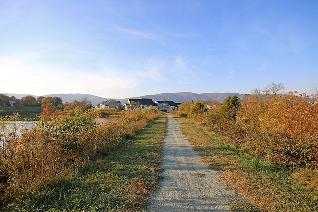 Building Photo - Light-Filled, Dog-Friendly Old Trail Townhome