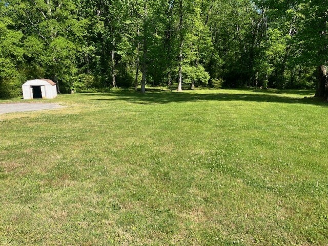 Side yard - 4716 McCahill Rd