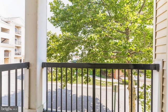 Building Photo - 11343 Aristotle Dr