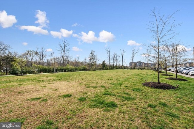 Building Photo - 44603 Wolfhound Sq
