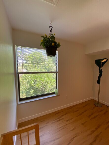 2nd bedroom with large treetop window - 2227 Canyon Blvd