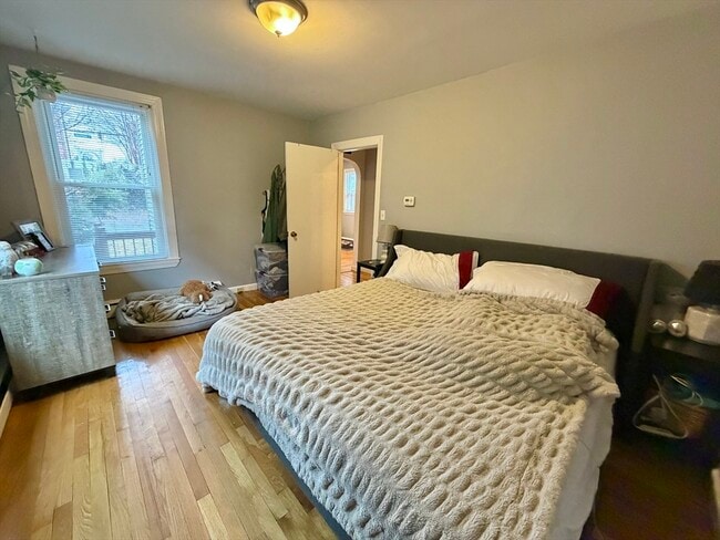 Building Photo - 42 Court St