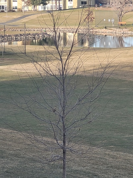 Building Photo - 710 S Alton Way