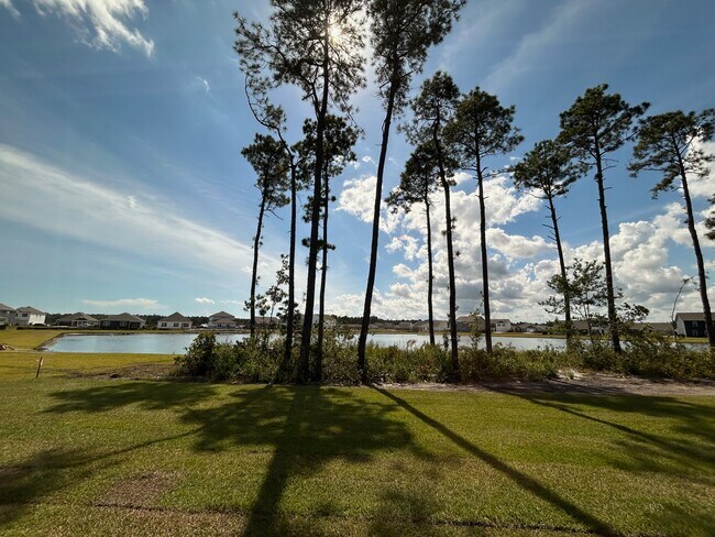 Building Photo - 1237 Pampas Grass Dr