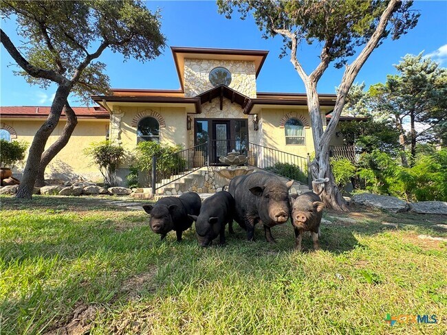 Building Photo - 2000 Village Oak