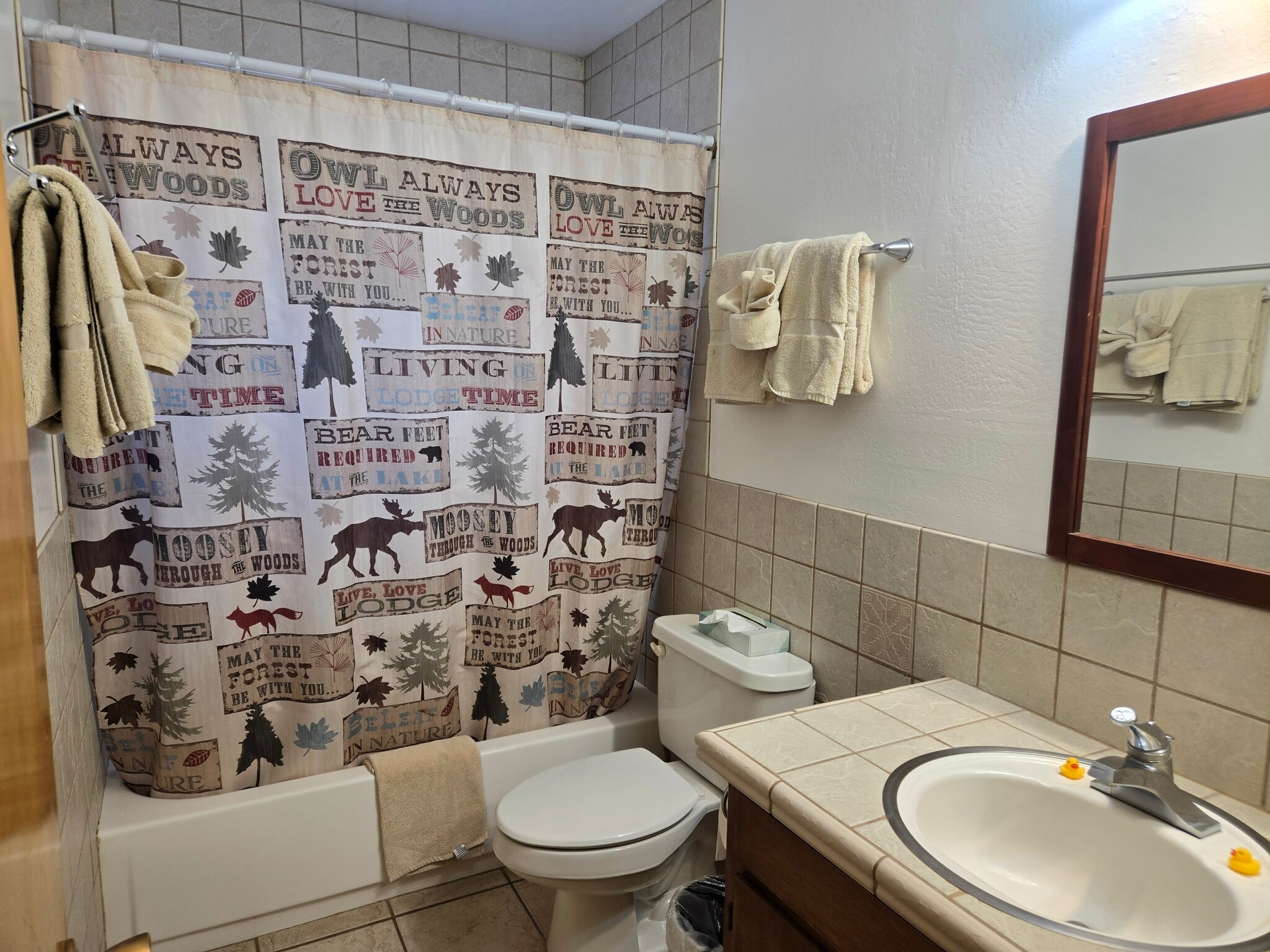 Cabin 2 Full Bathroom - 165 E White Mountain Blvd