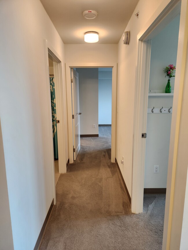 Building Photo - 988 Halekauwila St