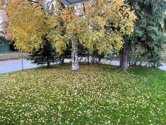 Building Photo - 4502 Klondike Court