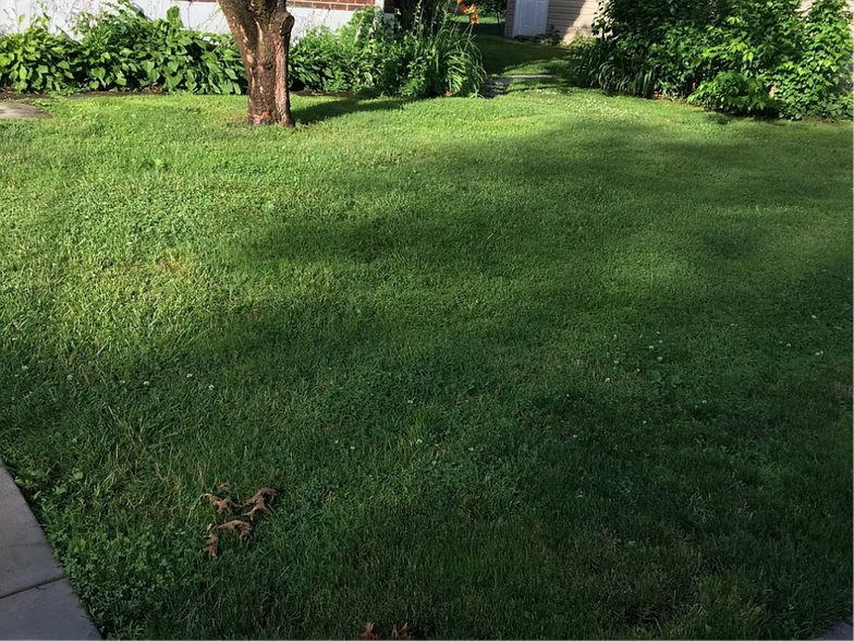 Private Lawn - 403 School St