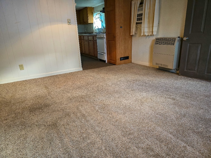 Building Photo - 517 E New York St