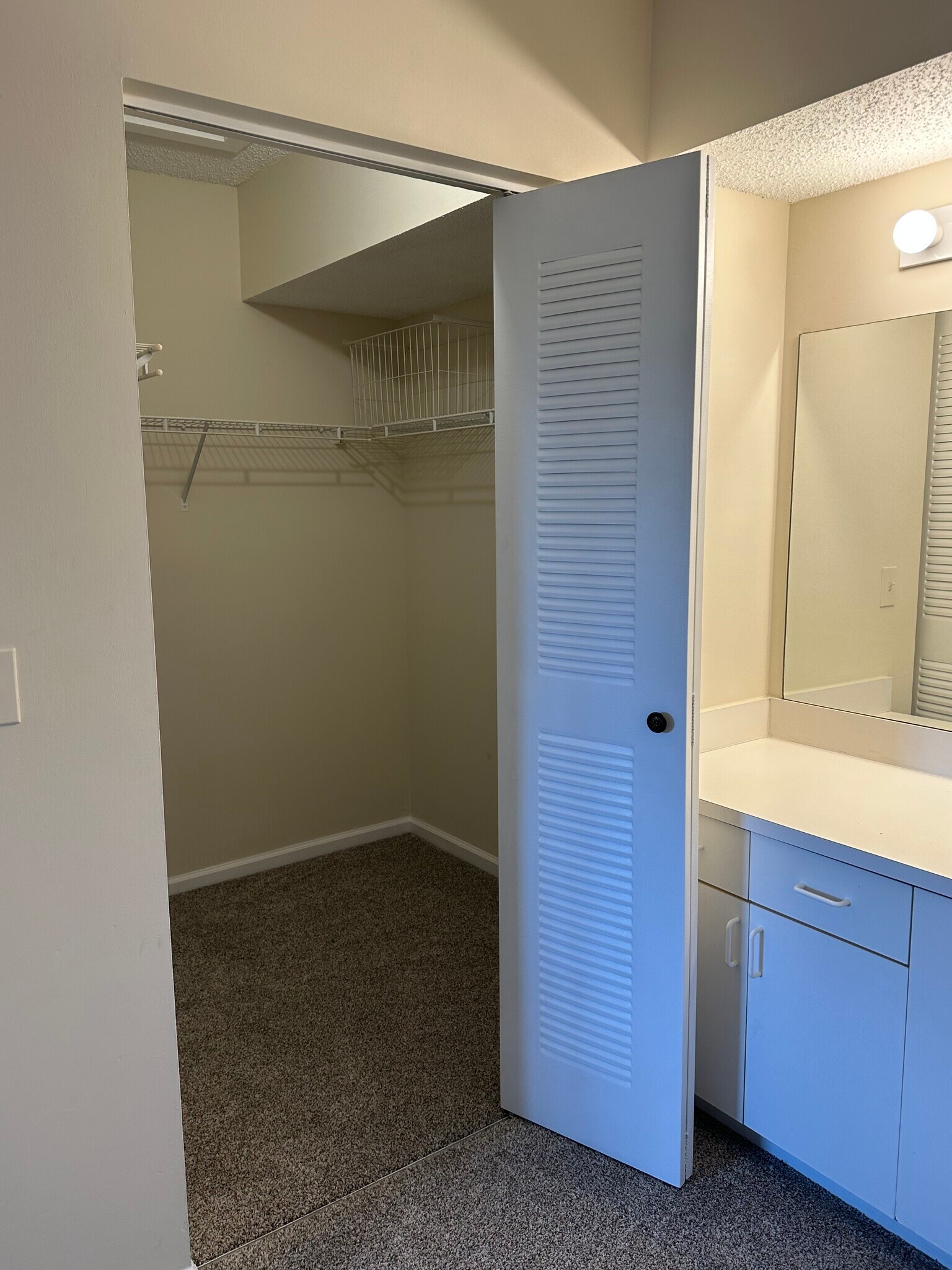 Walk-in closet - 266 Village Blvd