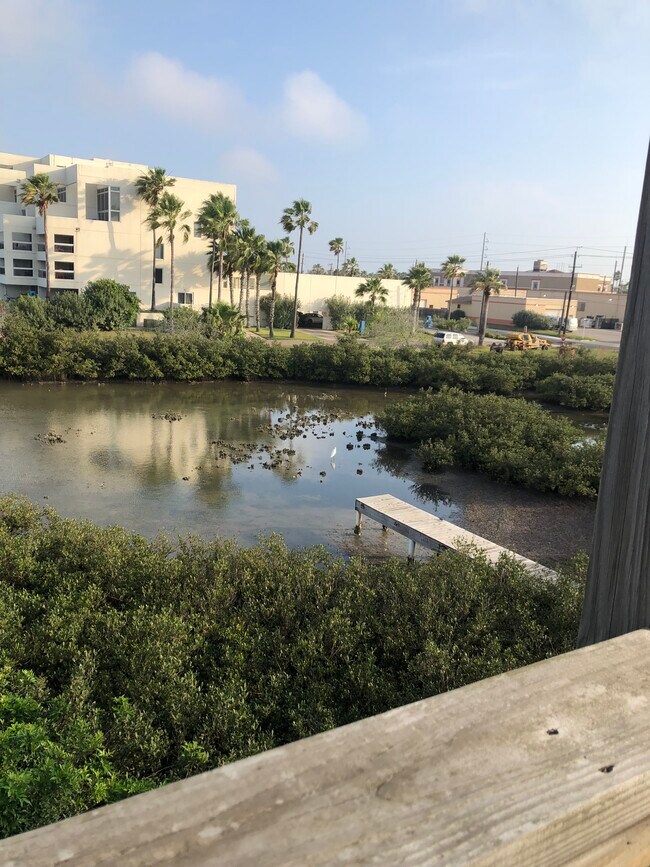 Building Photo - 208 W Saturn Ln