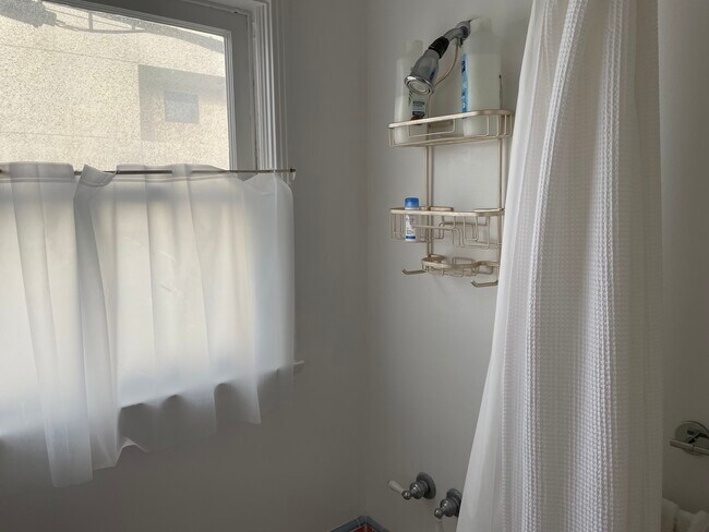 bathroom/shower plus tub - 1443 10th St