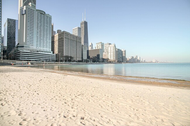 Building Photo - 850 N Lake Shore Dr.