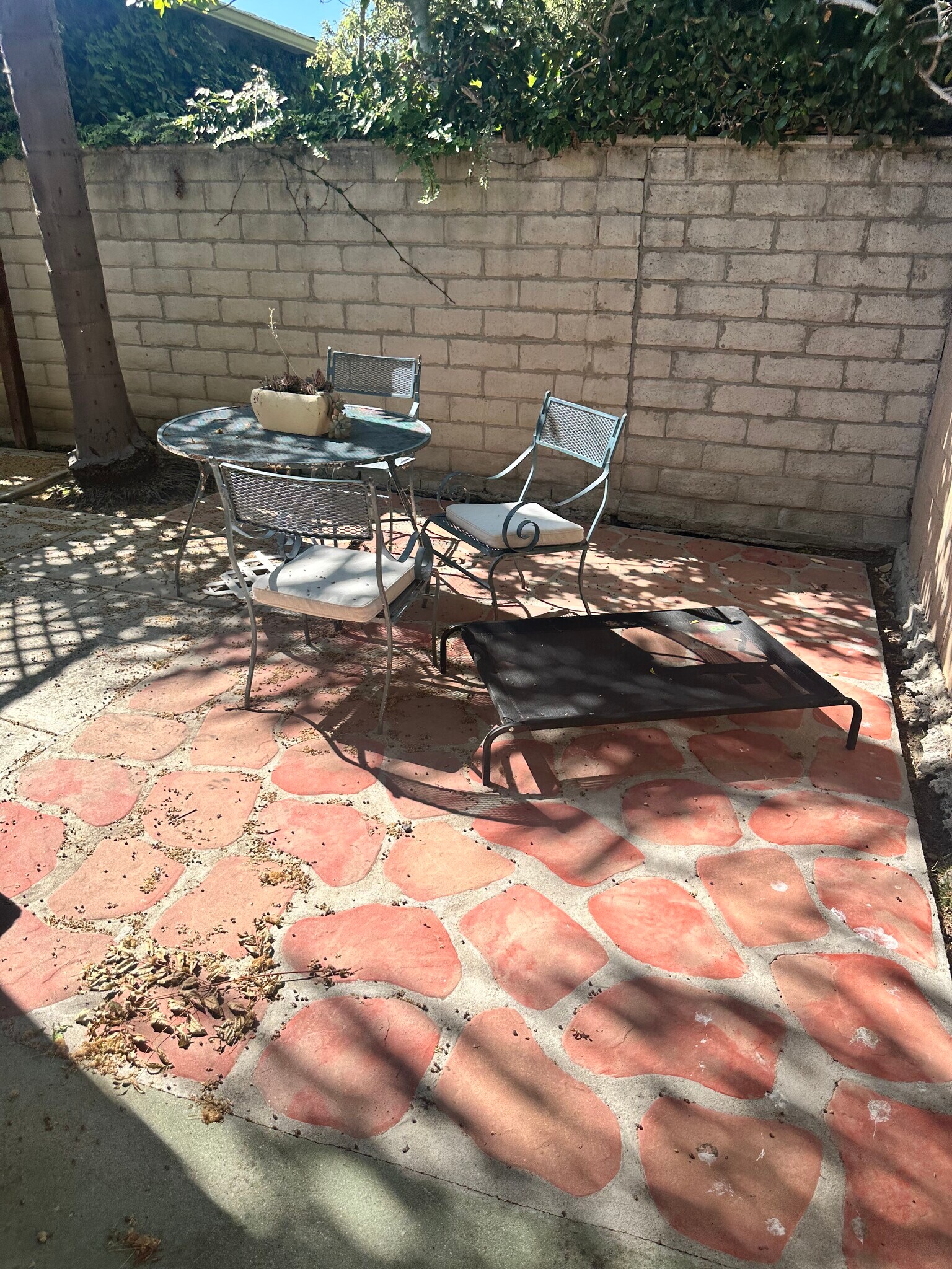 Private Patio Area - 2538 1/2 Military Ave