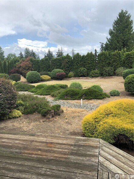 Rear Yard - 11923 Canyon Rd E