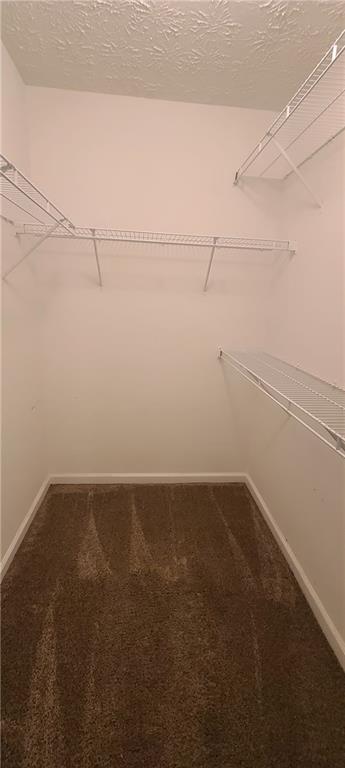 Building Photo - 420 Shenandoah Ct