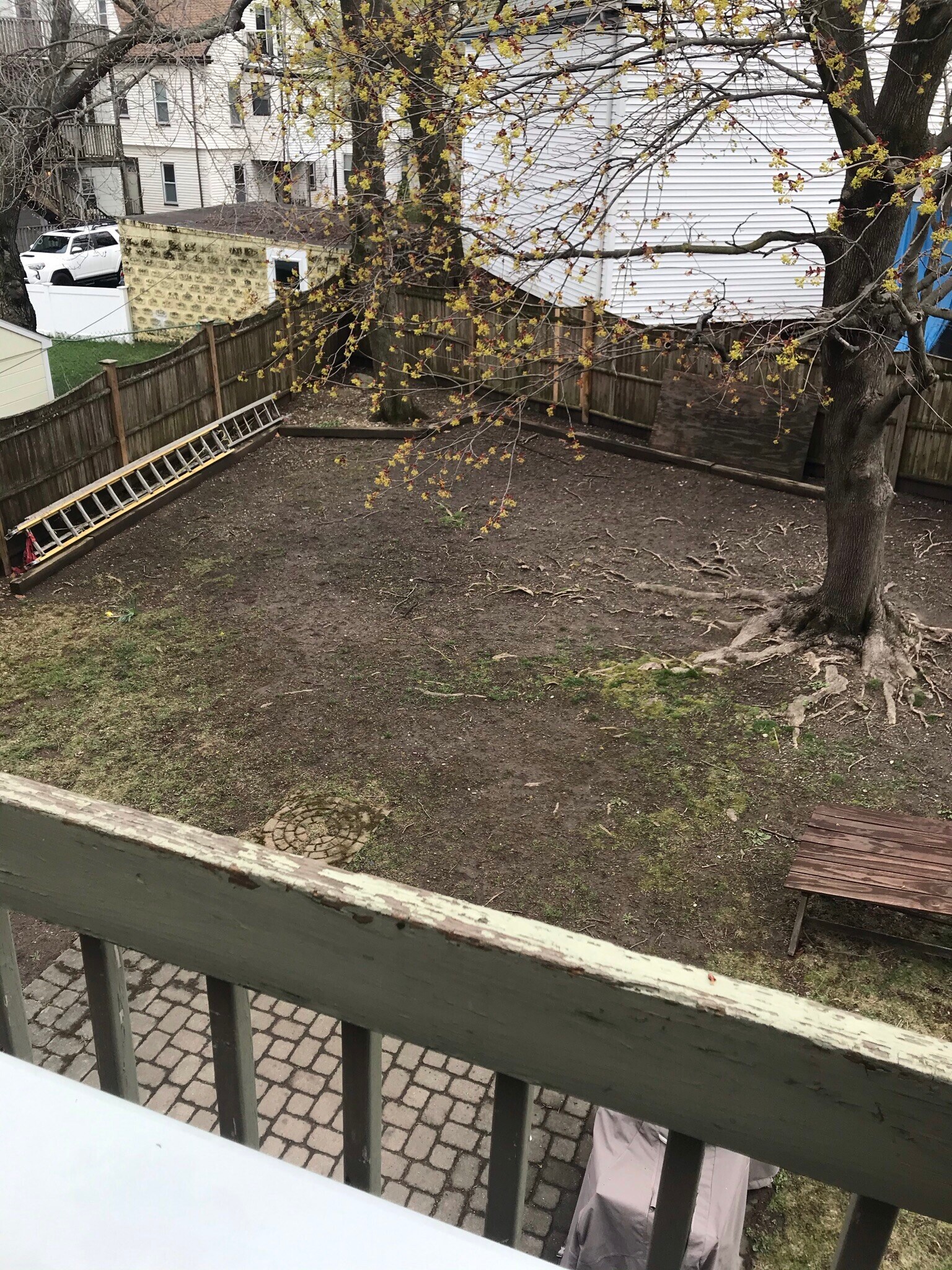 Building Photo - 21 Warner St