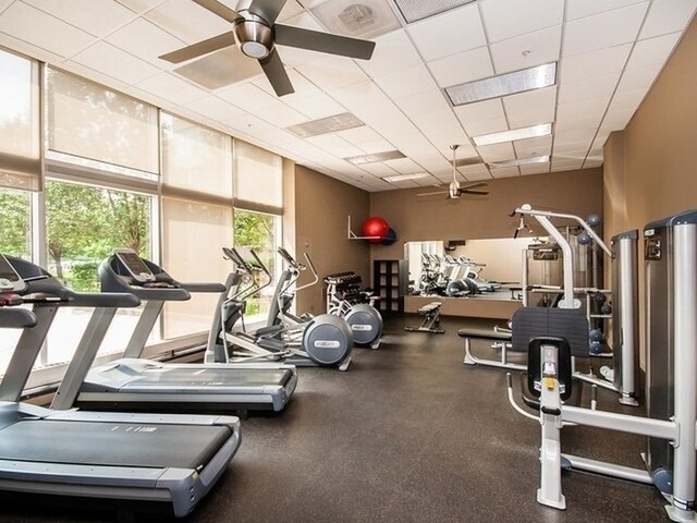 Gym - 645 N Kingsbury St