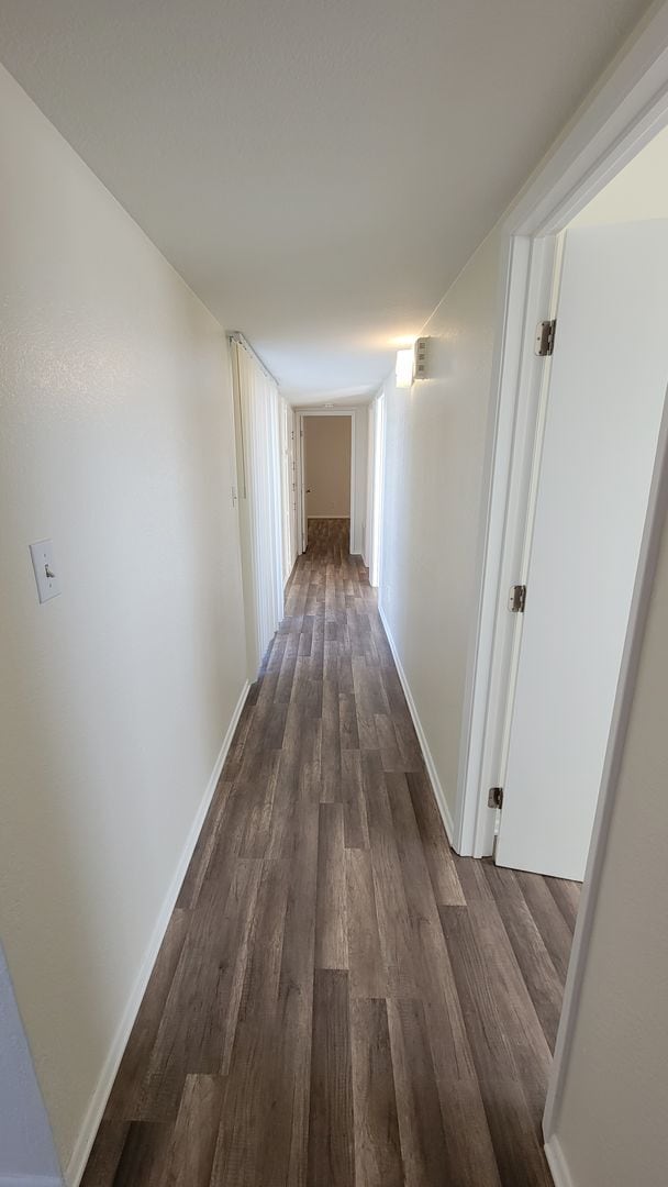 Building Photo - Nice 3 bedroom / 2 bathroom House with lots of natural lighting