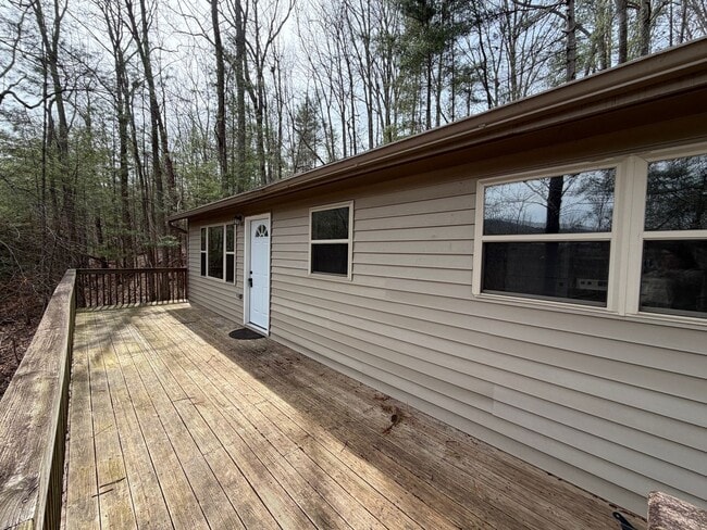 Building Photo - East AVL - Ready now! Big Basement!