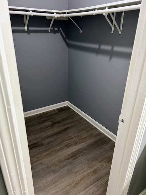 Building Photo - 789 Barnes Mill Trce